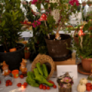 Termény- és virágkiállítás 