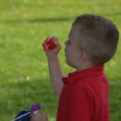 Mosonmagyaróvári Kézilabda SE faültetés (Fotó: Bánhegyi István)