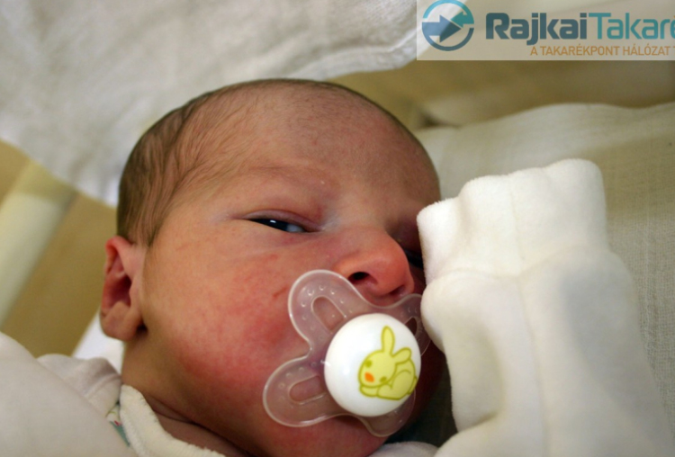 Nyul Dániel, Mosonmagyaróvár