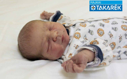 Czeferner Dávid, Mosonmagyaróvár