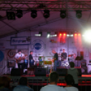 Szigetköz ízei, vármegye borai fesztivál / Pink Floyd Emlékzenekar koncertje (Fotó: Horváth Attila)