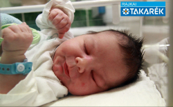 Szabó Bence László, Mosonmagyaróvár