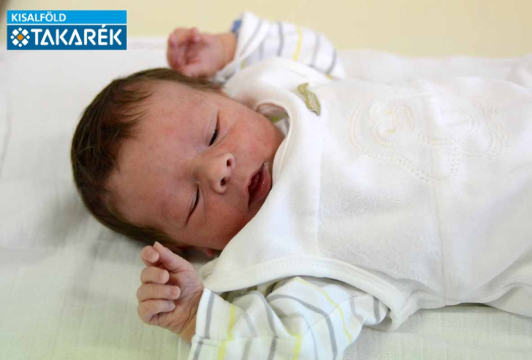 Katona Áron, Mosonmagyaróvár