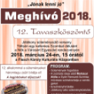 12. Tavaszköszöntő Jótékony süteménysütő verseny