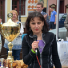 VI. Apró kezek, Csodakertek Gyermek Kertépítő verseny (Fotó: Bánhegyi István)