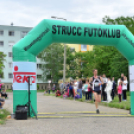 XII. Greiner Szigetköz Minimaraton (Fotó: Horváth Attila)