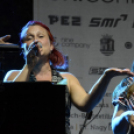 Tiszta Amerika - Vár-tó party