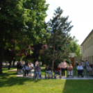 Faültetés az Idősök otthonában