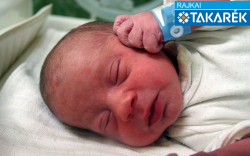 Horváth László, Mosonmagyaróvár