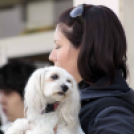 XII. Elfogadás napja Mosonmagyaróvár