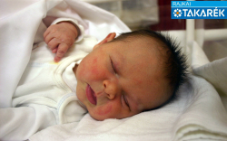 Bencze Rebeka, Lébény