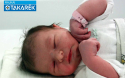 Kovács Szofi, Mecsér