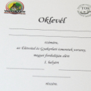 Ujhelyi Imre Általános Iskola - Életvitel és Gyakorlati ismeretek verseny megyei fordulója