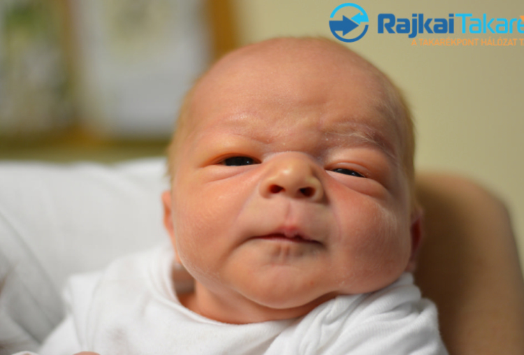 Cseh Martin Noel, 3730 gr. Darnózseli