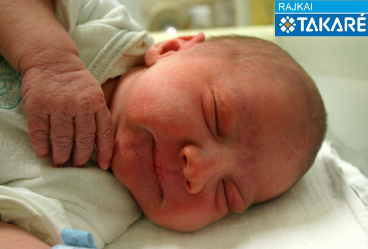 Varga András, Csorna