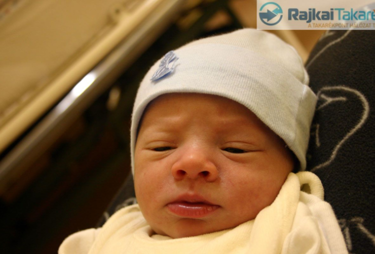 Gregório-Takács Dániel, Mosonmagyaróvár