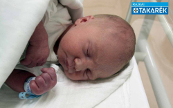 Tálas Bence, Mecsér