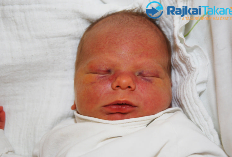 Csonka Bálint, 3380 gr. Sopronnémeti