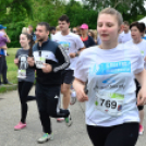 XII. Greiner Szigetköz Minimaraton (Fotó: Horváth Attila)