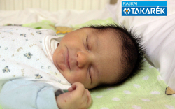 Novits-Kiss Olivér, Halászi