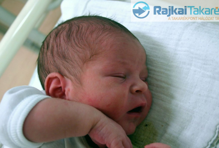 Nagy Márk, Cakóháza