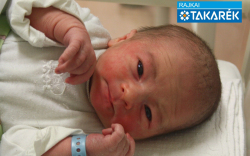 Csörgits Noel, Kapuvár