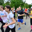 XII. Greiner Szigetköz Minimaraton (Fotó: Horváth Attila)
