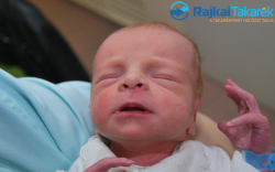 Élő Kornél Patrik, 2800 gr. Győr