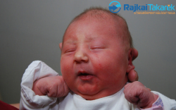 Dollinger Zsófia, 3400 gr. Máriakálnok