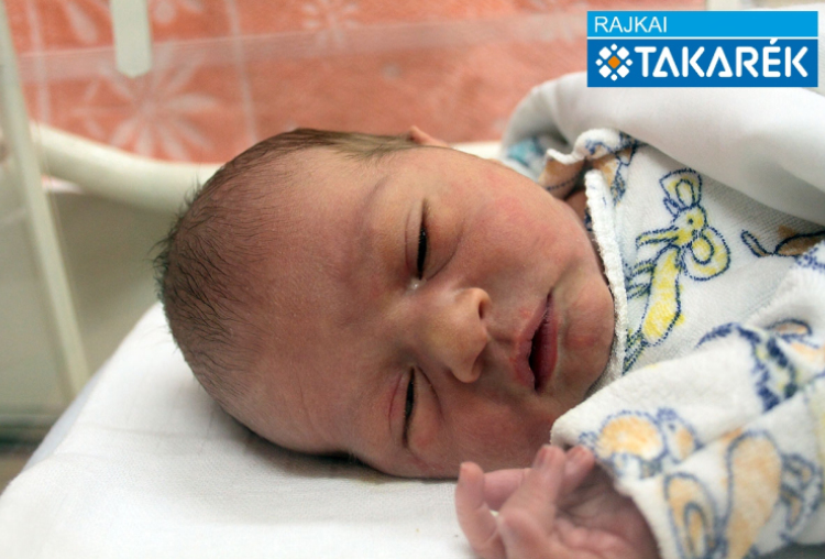 Cseri Milán Róbert, Mosonmagyaróvár