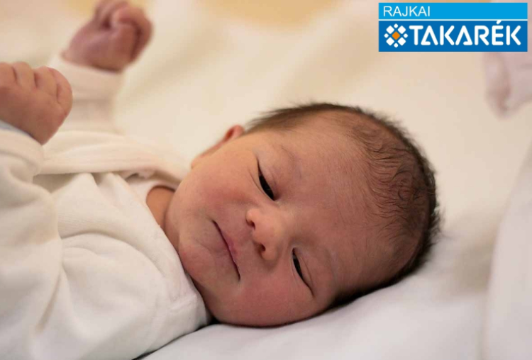 Szabó Nimród, Hédervár