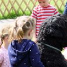 Az Ebuló Kutyaiskola interaktív kutyás bemutatója a Pillangó óvodában (Fotó: Stipkovits Veronika)