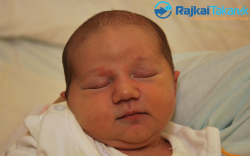 Cseh Antal Erik, 2980 gr. Mosonmagyaróvár