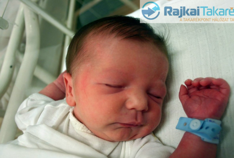 Balka Dominik Roland, Hegyeshalom