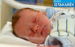 Dudás Gergő, Várbalog