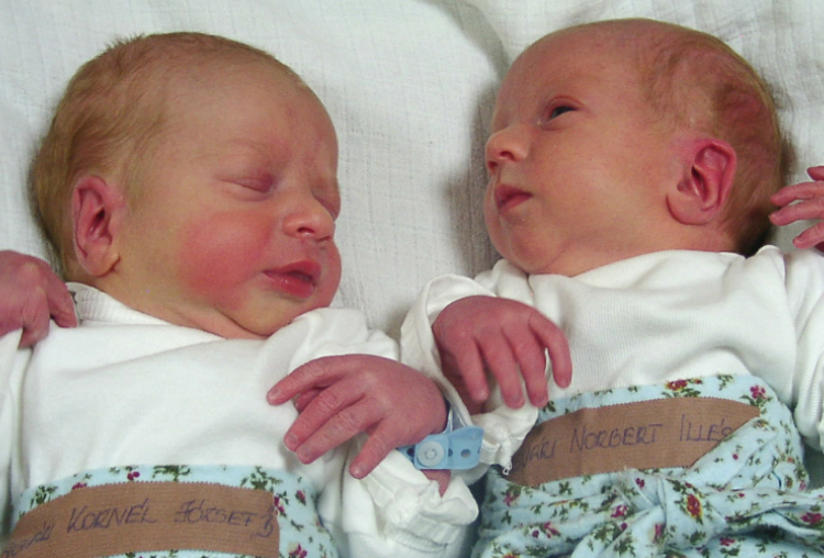 Sasvári Norbert és Kornél-2660-3240-Móvá