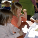 Pillangó Óvoda és Mini Bölcsőde családi nap az Alma együttessel 