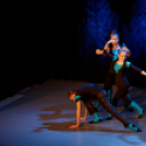 Jótékonysági műsor - Fehér és Máltai Szeretetszolgálat az Éltes iskola javára (Fotó: Horváth Attila)