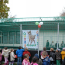 Ovi-Foci Program Ünnepélyes pályaátadó