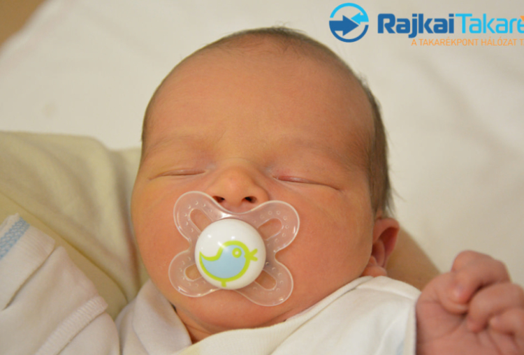 Hörcsög Zsombor, 3010 gr. Kimle