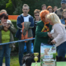 CAC kutyakiállítás (Fotó: Nagy Mária)