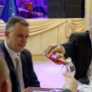 Virilista est 2015 Mosonmagyaróvár (Fotó: Horváth Attila)