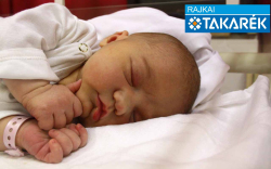 Dornstadter Maja Lida, Mosonmagyaróvár