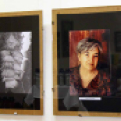 II. Szigetközi Gyógynövénynapok (Fotó: Stipkovits Veronika)