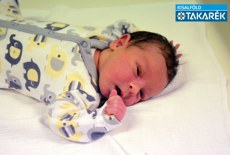 Kertész Nolen, Mosonmagyaróvár