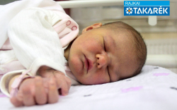 Kacsa Karina, Hegyeshalom