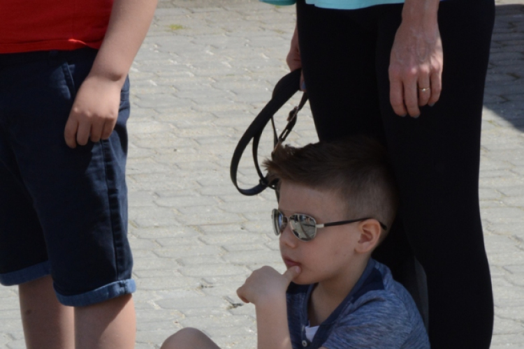 V. Mosonmagyaróvári Veteránjármű Találkozó és Alkatrészbörze (Fotó: Bánhegyi István)