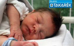 Szabó-Koller Bence, Mosonmagyaróvár