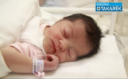 Török Zara Lora, Beled