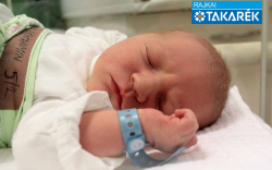 Walde Benjámin, Mosonmagyaróvár